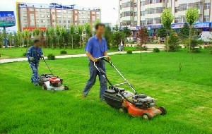 園林綠化養(yǎng)護(hù)