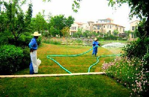 園林綠化養(yǎng)護(hù)