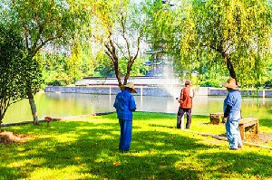 園林綠化養(yǎng)護(hù)