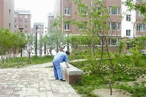 小區(qū)清潔服務(wù)